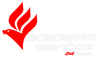 Gaviões